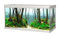 FAMILY akvaarium 80 l
