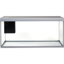 ELEMENT akvaarium 180L hall