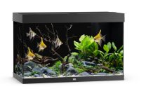 Juwel Rio 290 LED  akvaarium must