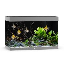 Juwel Rio 290 LED  akvaarium hall