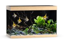 Juwel Rio 290 LED  akvaarium hele puit