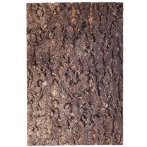 Repti-Zoo Big Tree cork background 45x60cm
