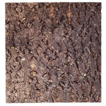 Repti-Zoo Big Tree korktaust 20x20cm