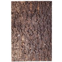 Repti-Zoo Big Tree korktaust 20x30cm