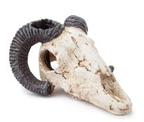 Kunstdekoratsioon looma pealuu 9 cm