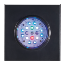 Jecod LED SQL-50MWW