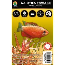 Замороженный корм Daphnia Intensive Red 100г блистер