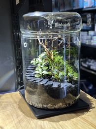 Wabi-Kusa komplekt 4
