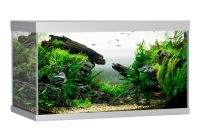 ELEMENT akvaarium 144L hall
