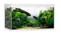 ELEMENT akvaarium 144L valge