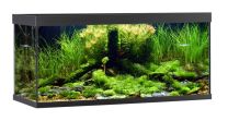 ELEMENT akvaarium 180L must