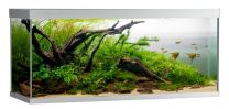 ELEMENT akvaarium 240L hall