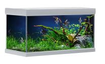 Fusion akvaarium  144L