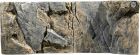 BackToNature Juwel Rocky taust 120x47(h)cm
