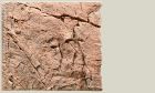 Slim-Line 60A 50x55 red gneiss