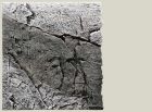 Slim-Line 60B 50x55 River
