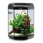 Aquael HEXA set 60 D&N must