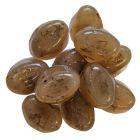 Dupla Gel-O-Drops Mosquito